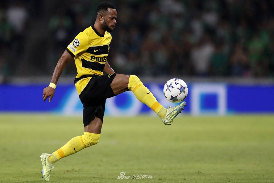 类似的细腻 类似的细腻