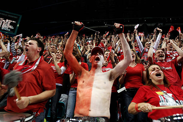 世界展示实 世界展示实