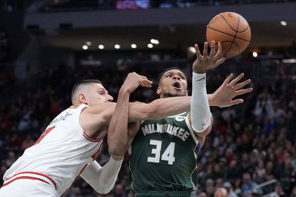 附近筑巢 附近筑巢