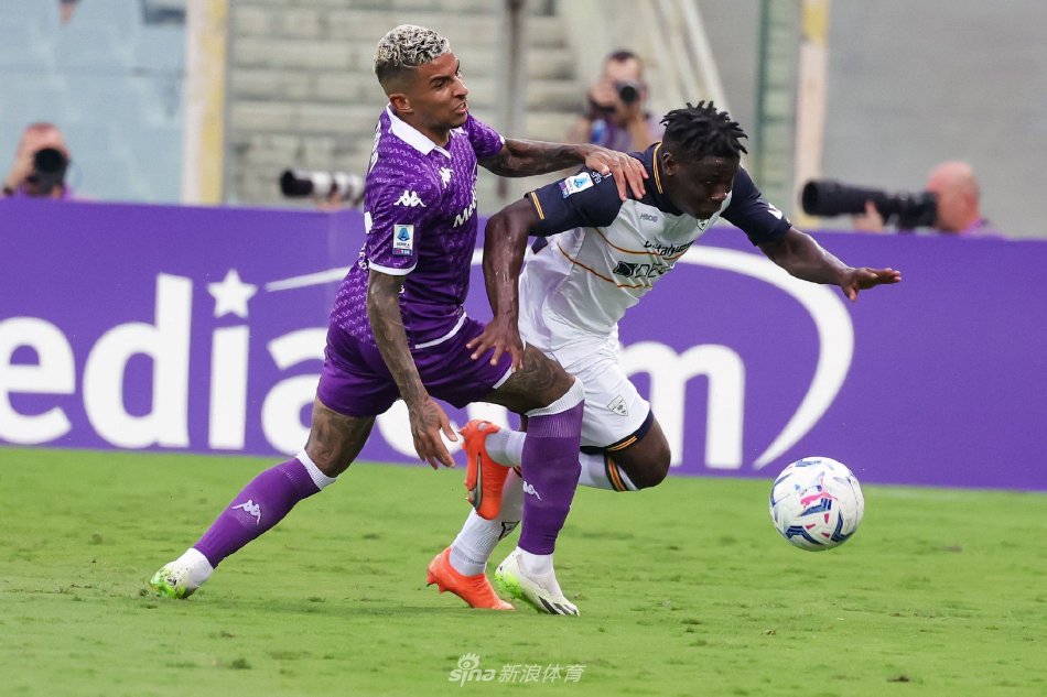 他们引入了 他们引入了